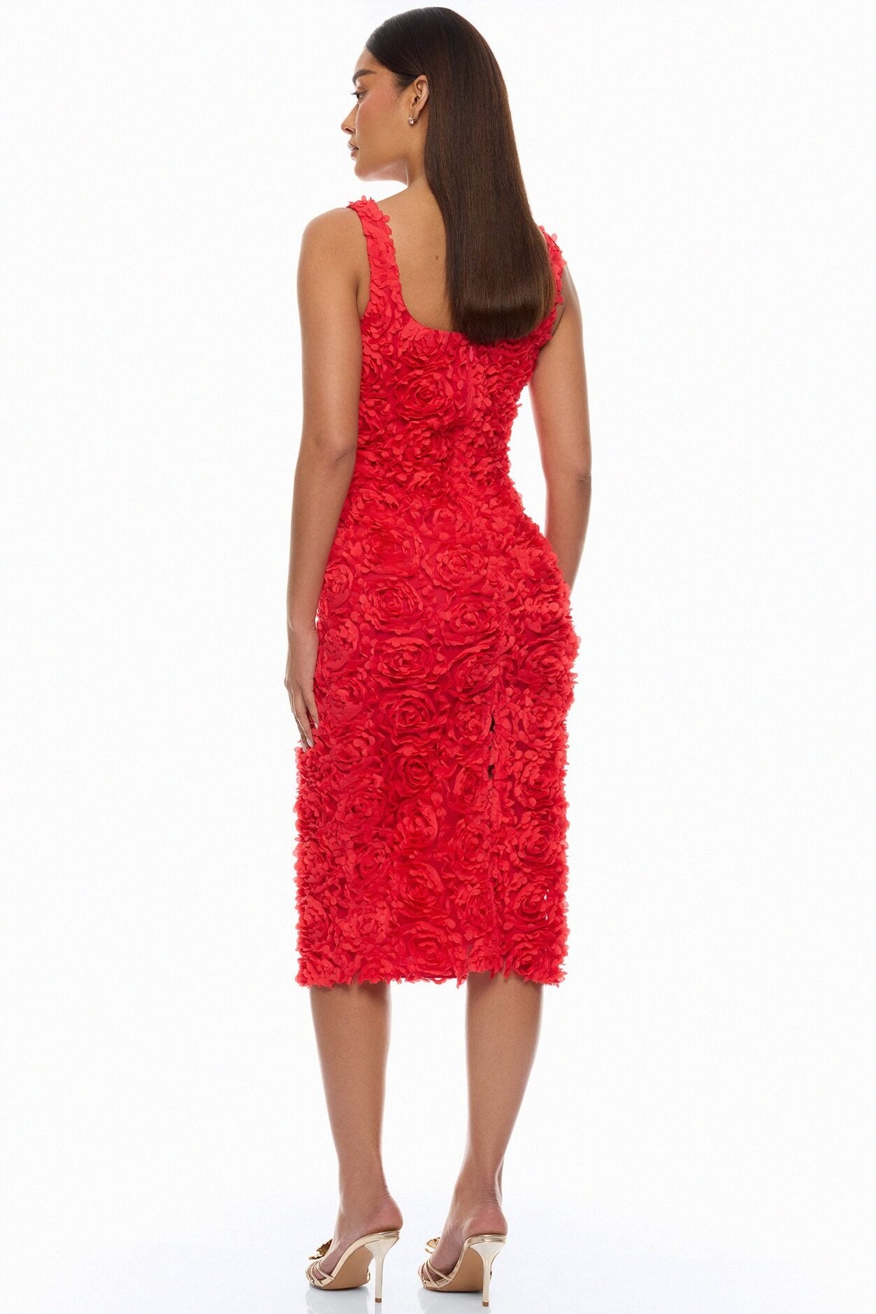 Rose Gardens Floral Applique Midi Dress - Red image 4