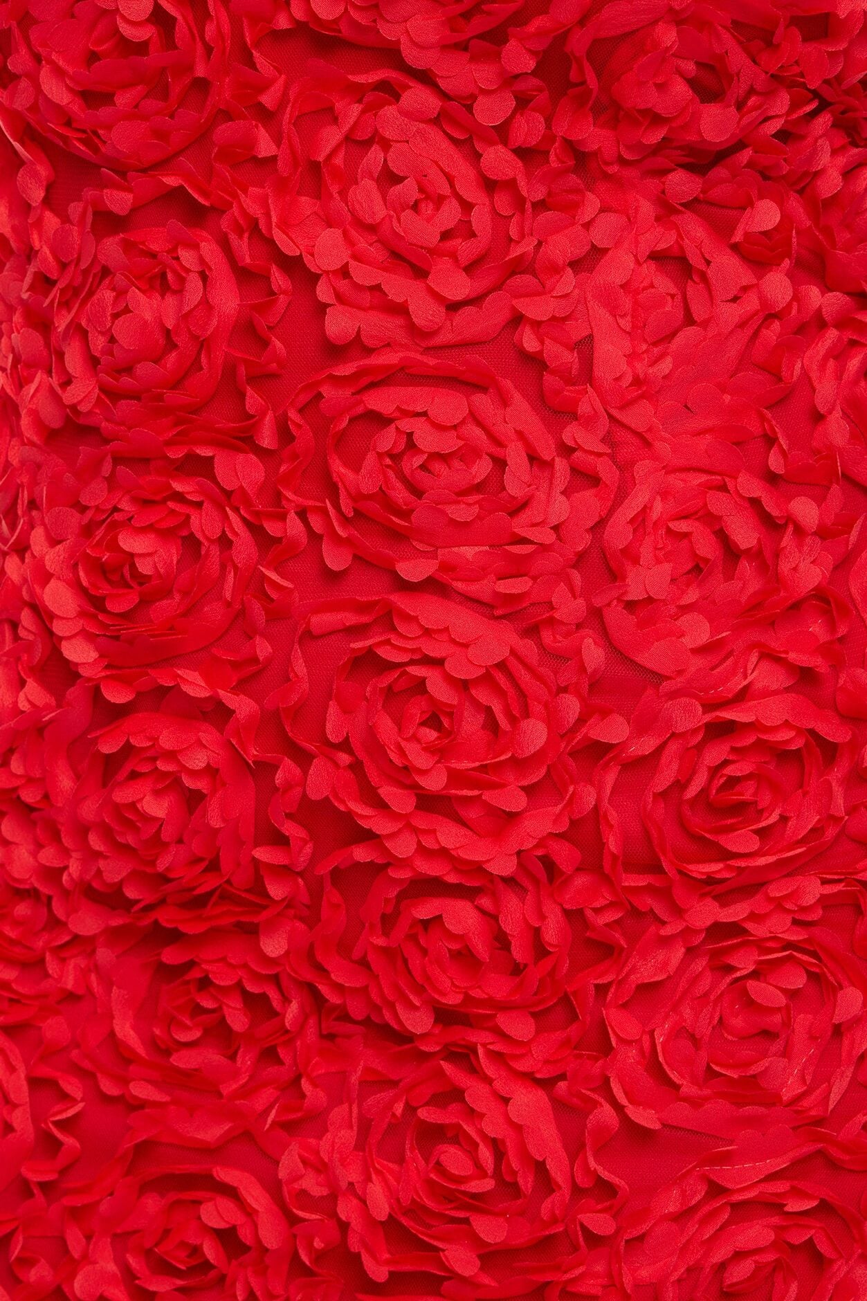 Rose Gardens Floral Applique Midi Dress - Red image 7