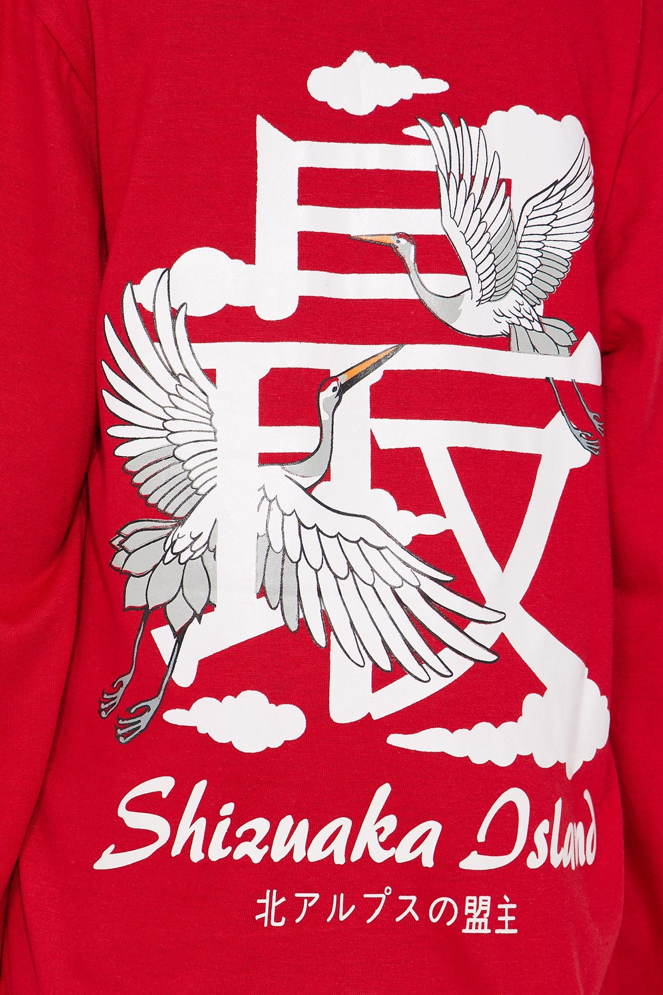 Mini Shizuaka Island Front/Back Long Sleeve Tee - Red image 5