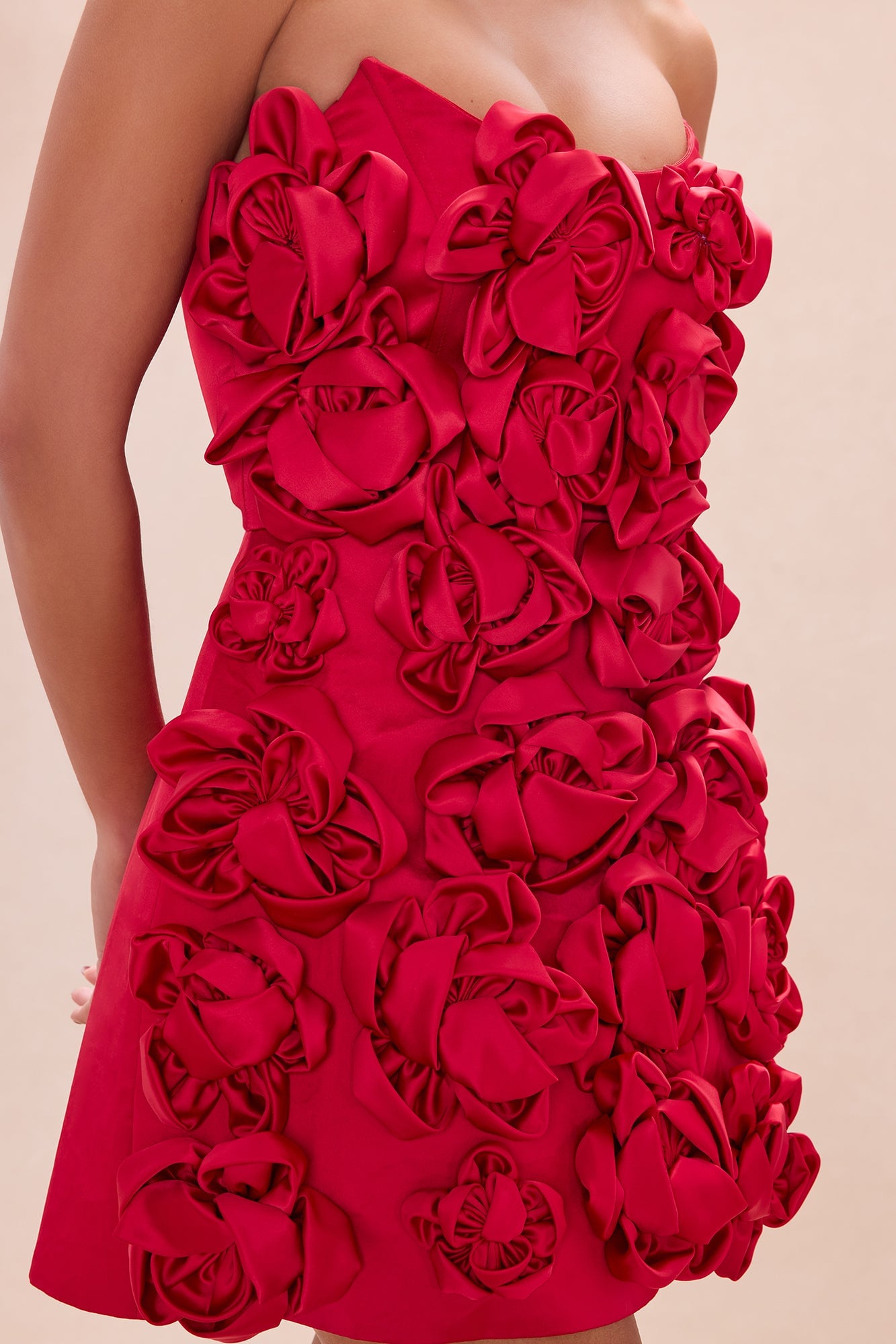 Blushing Rose Floral Applique Mini Dress - Red image 3