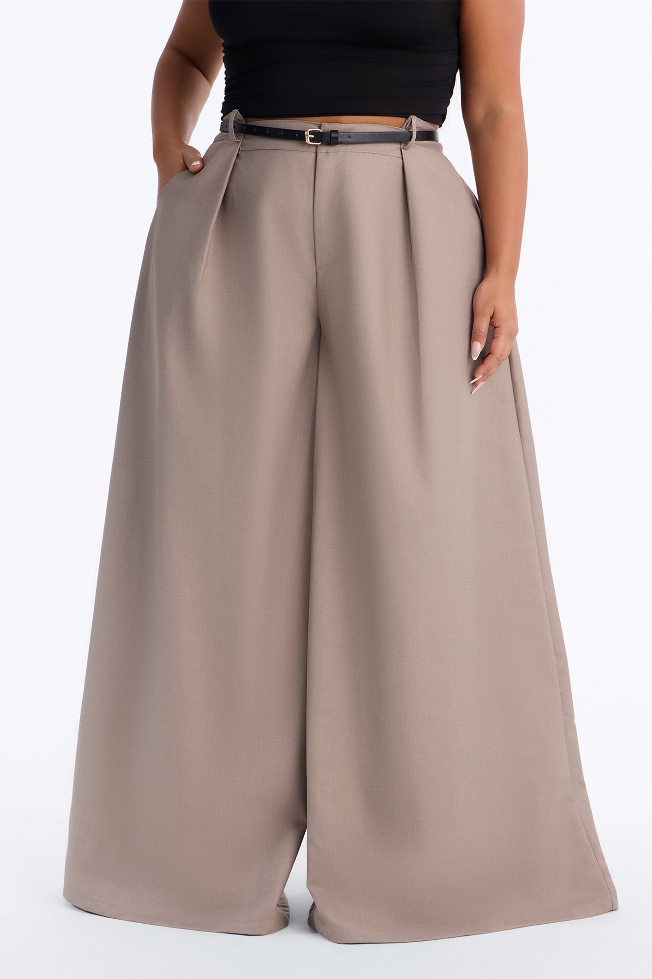 Steph Step Waistband Belted Wide Leg Trouser - Taupe image 2