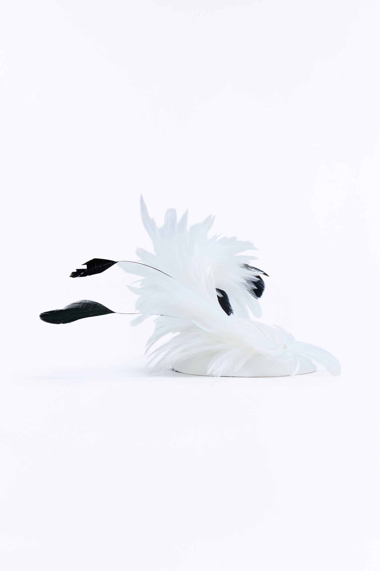 Main Act Fascinator - White image 3