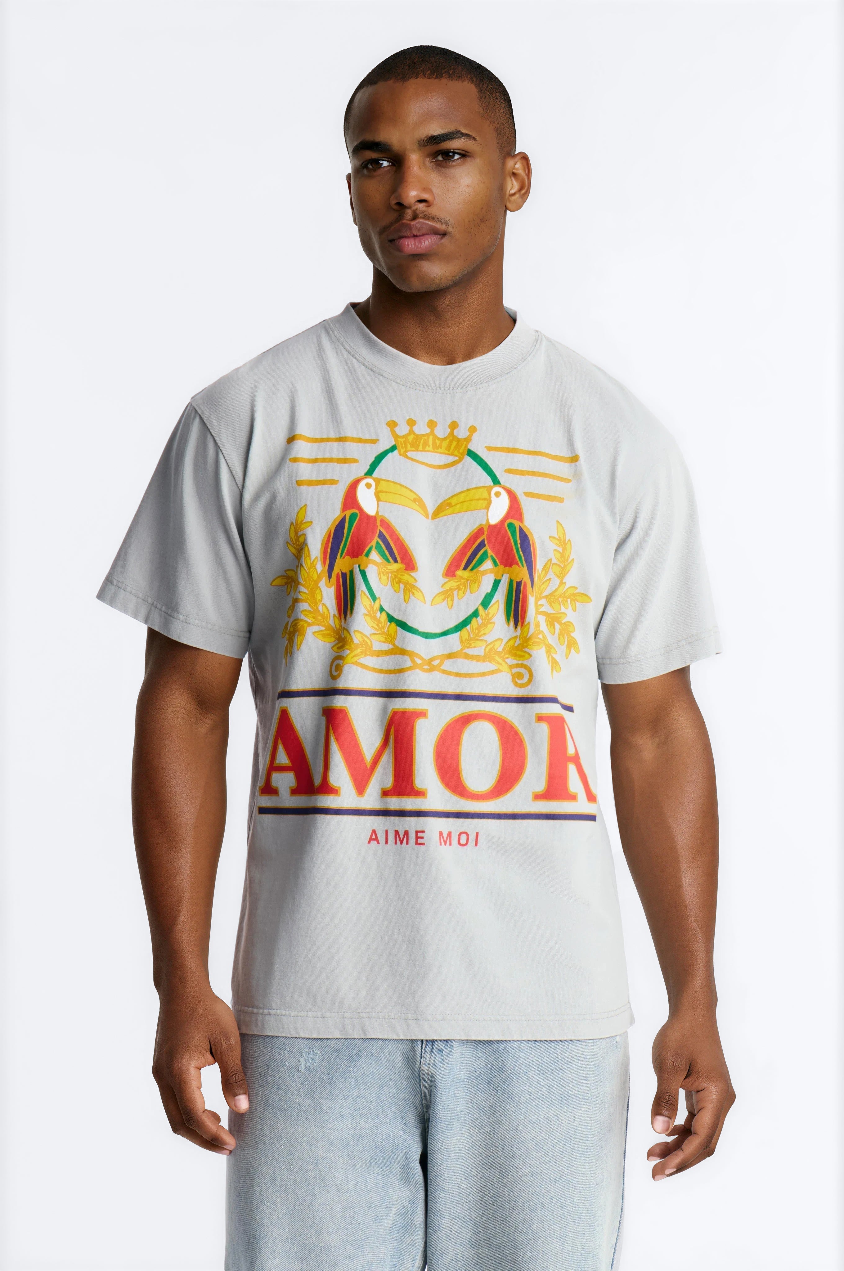 Amor Moi Oversized Heavy Weight Vintage Short Sleeve Tee - Grey