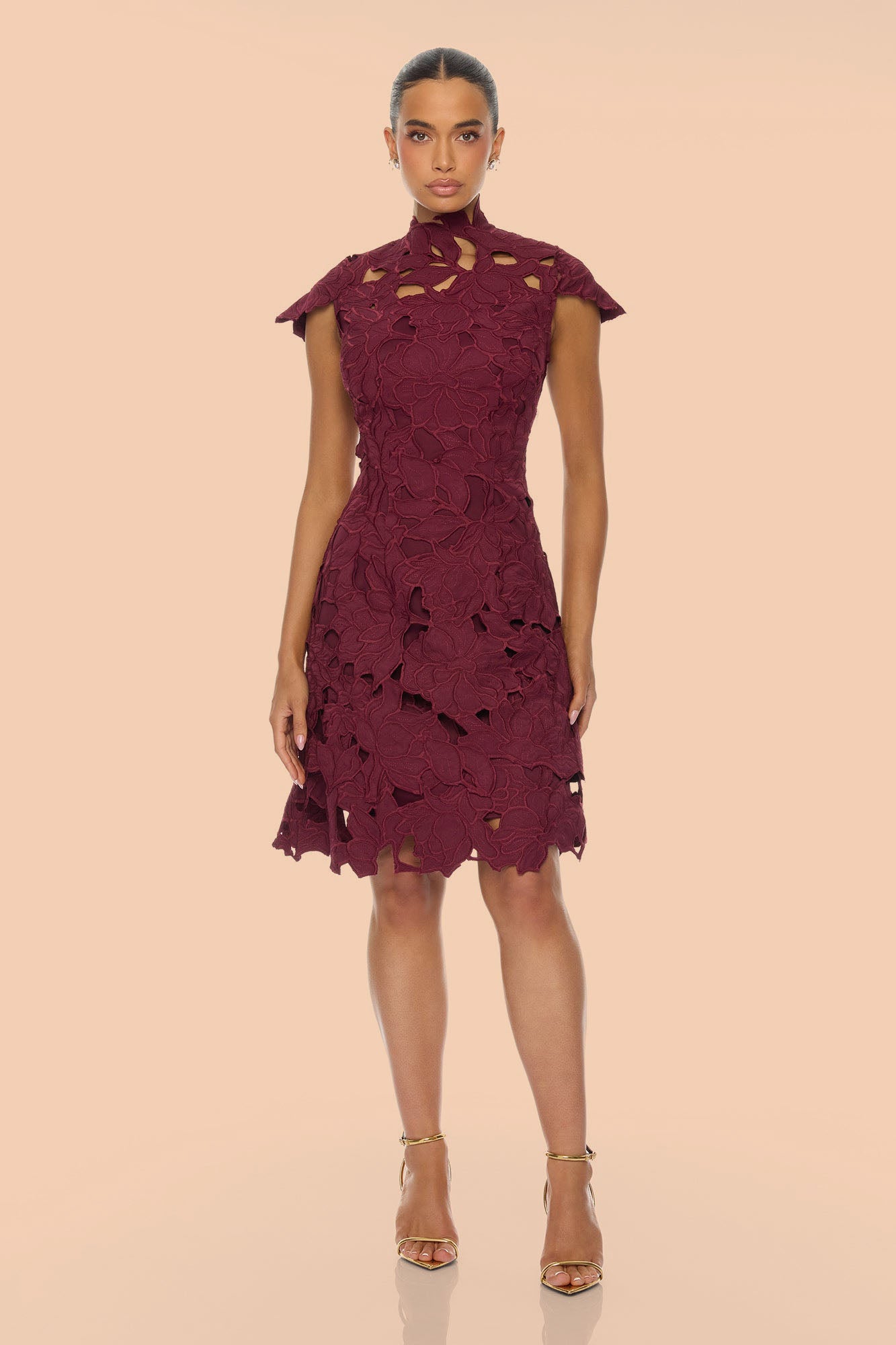 One And Only Embroidered Midi Dress - Wine
