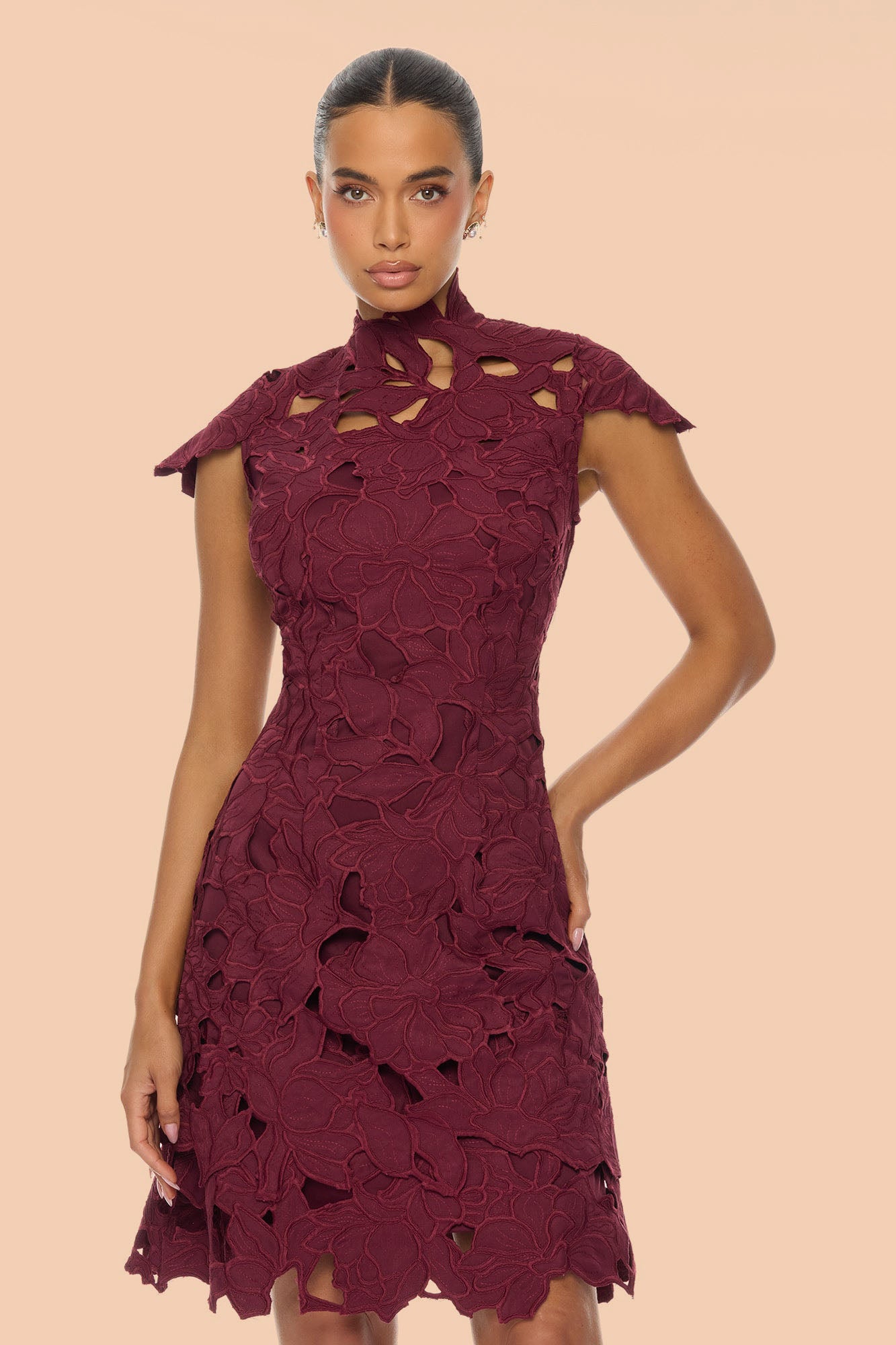 One And Only Embroidered Midi Dress - Wine