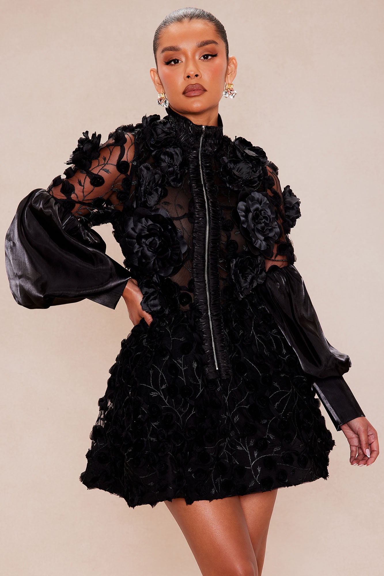 Raven Sheer Embroidered Mini Dress - Black