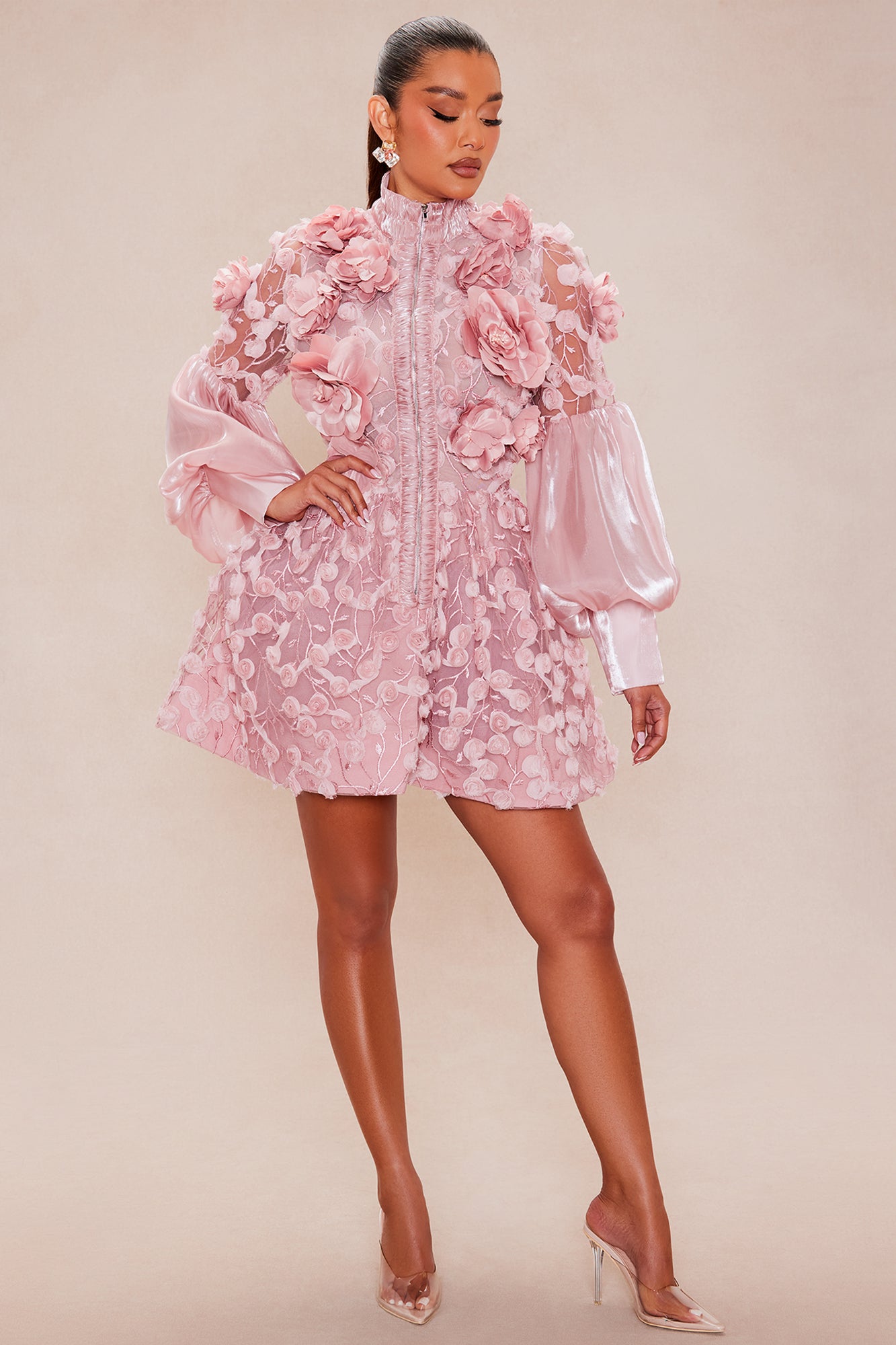 Raven Sheer Embroidered Mini Dress - Rose