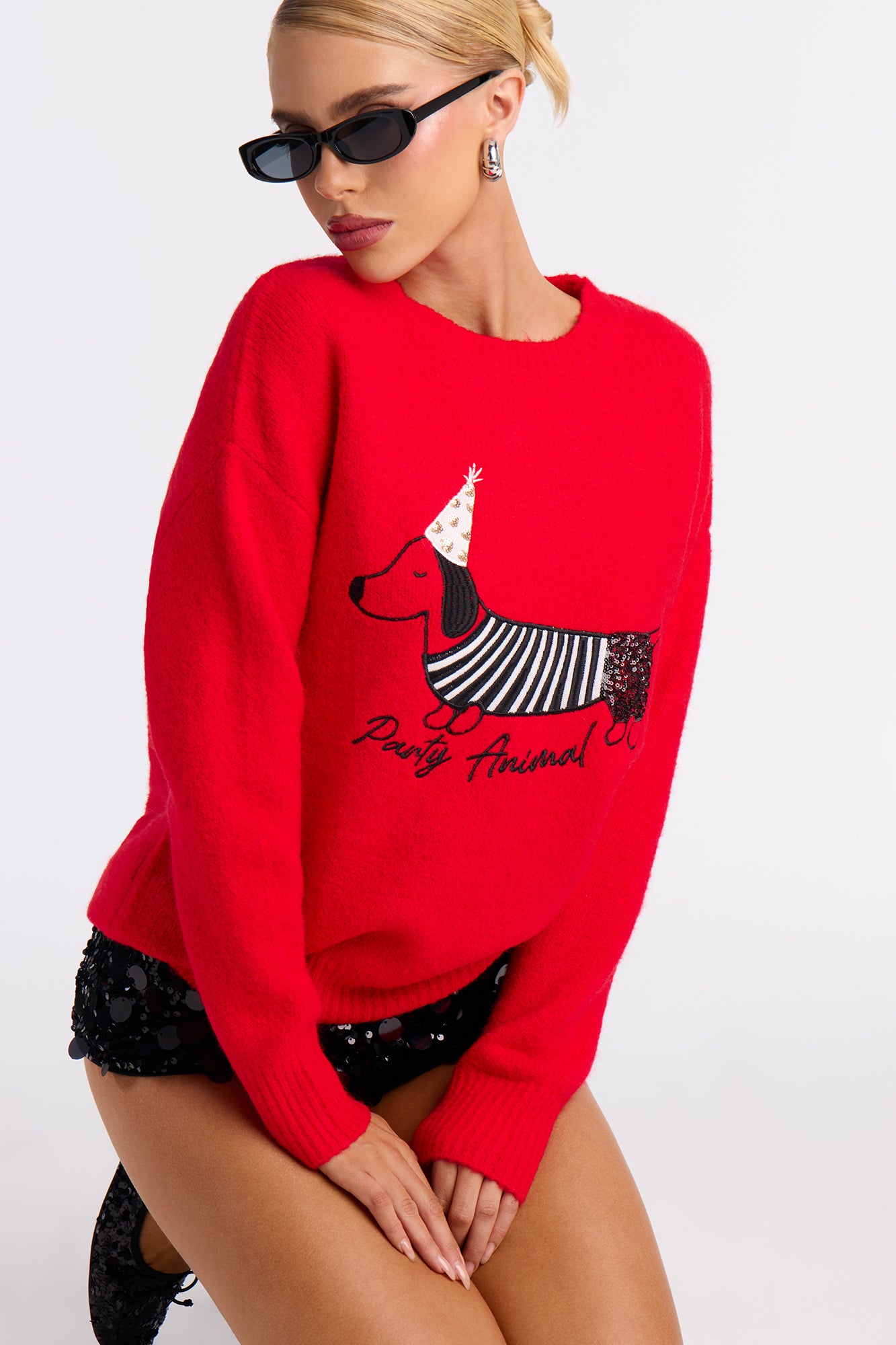 It's Pawty Time Sweater - Red/combo