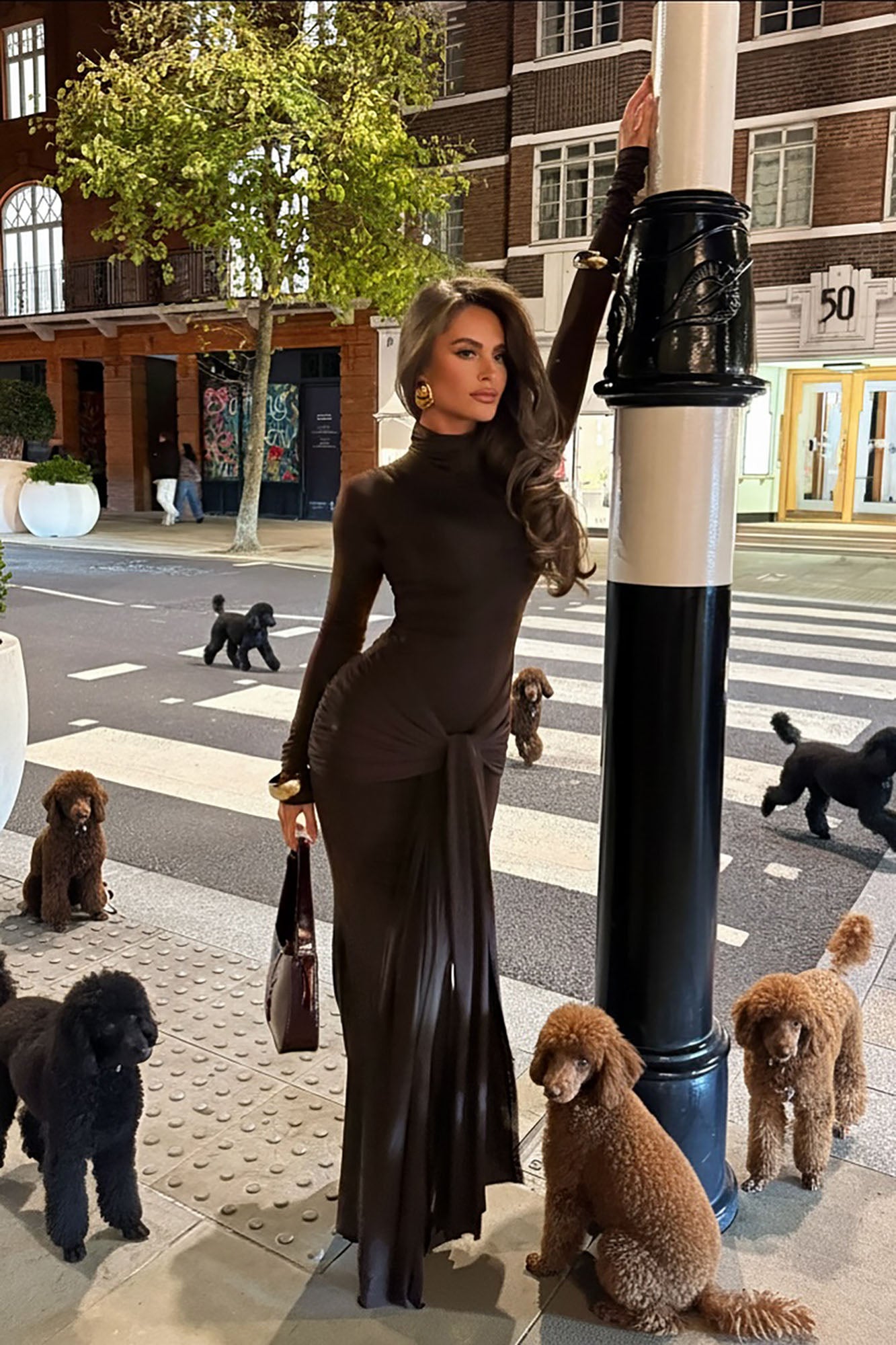 Sienna Long Sleeve Maxi Dress - Chocolate
