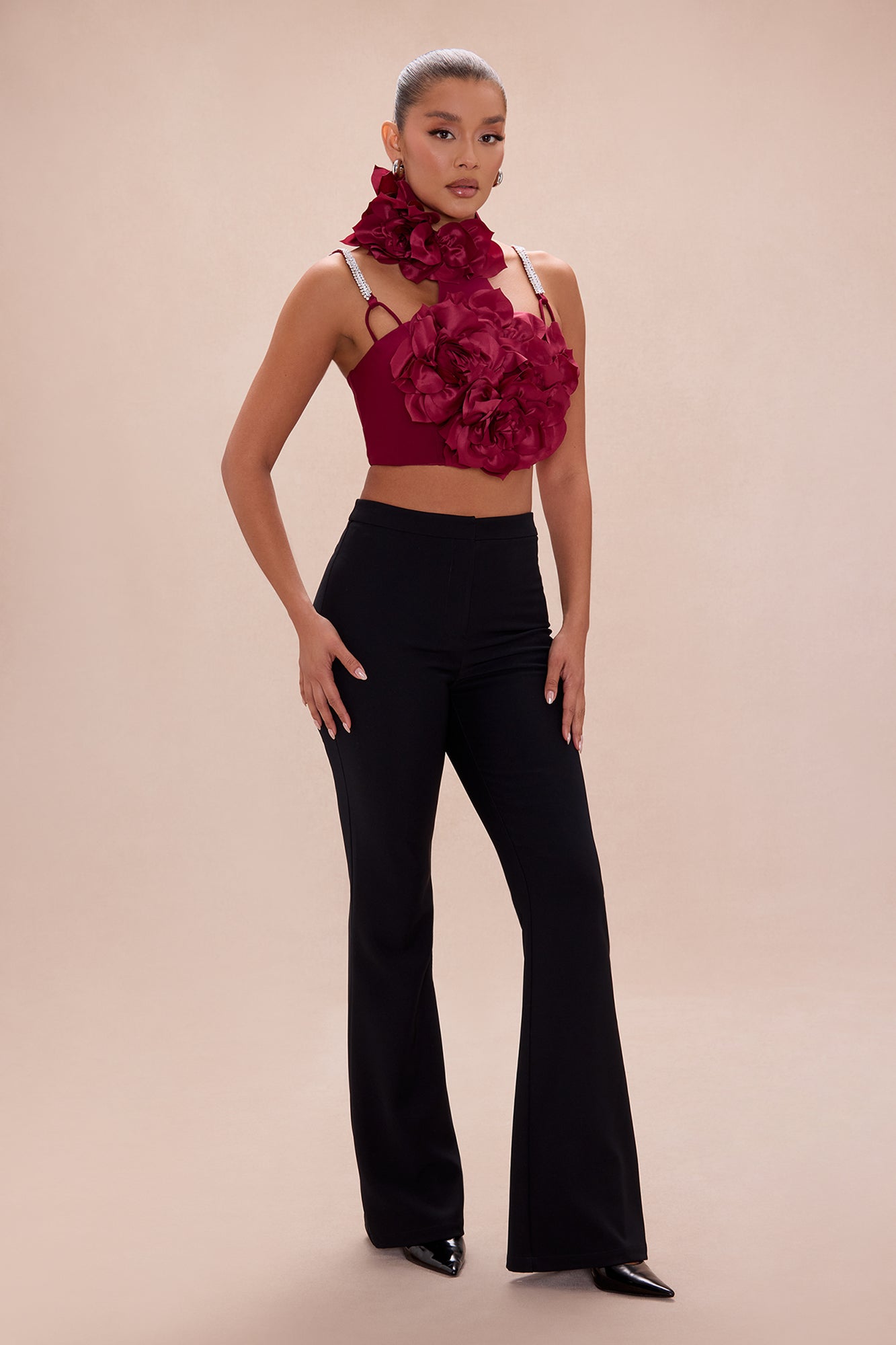 Raven Floral Applique Crop Top - Wine