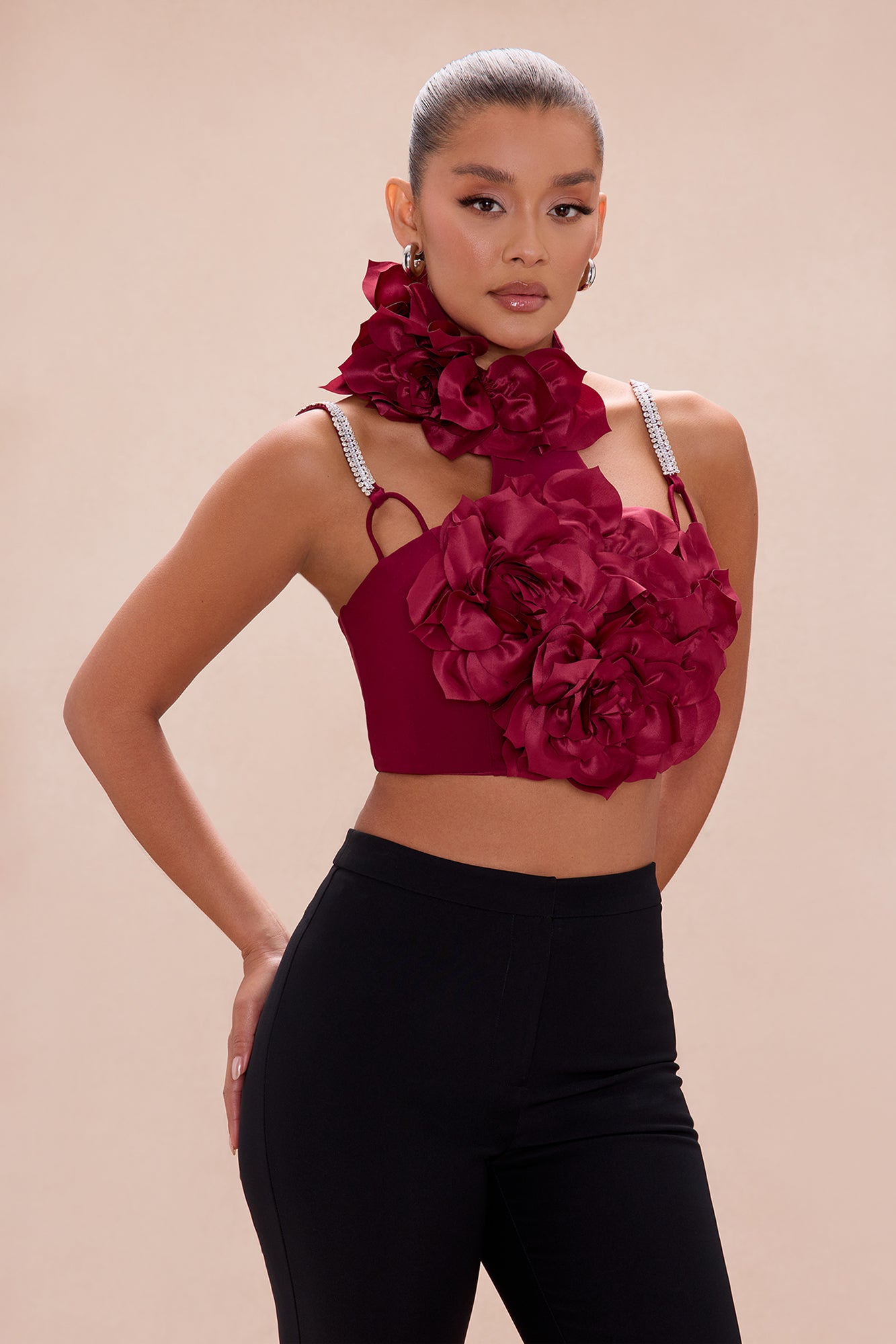 Raven Floral Applique Crop Top - Wine