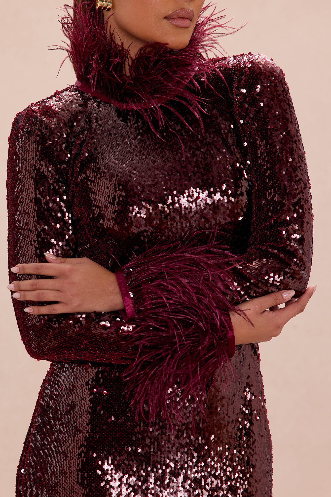 Robyn Sequin Feathered Maxi Dress - Burgundy