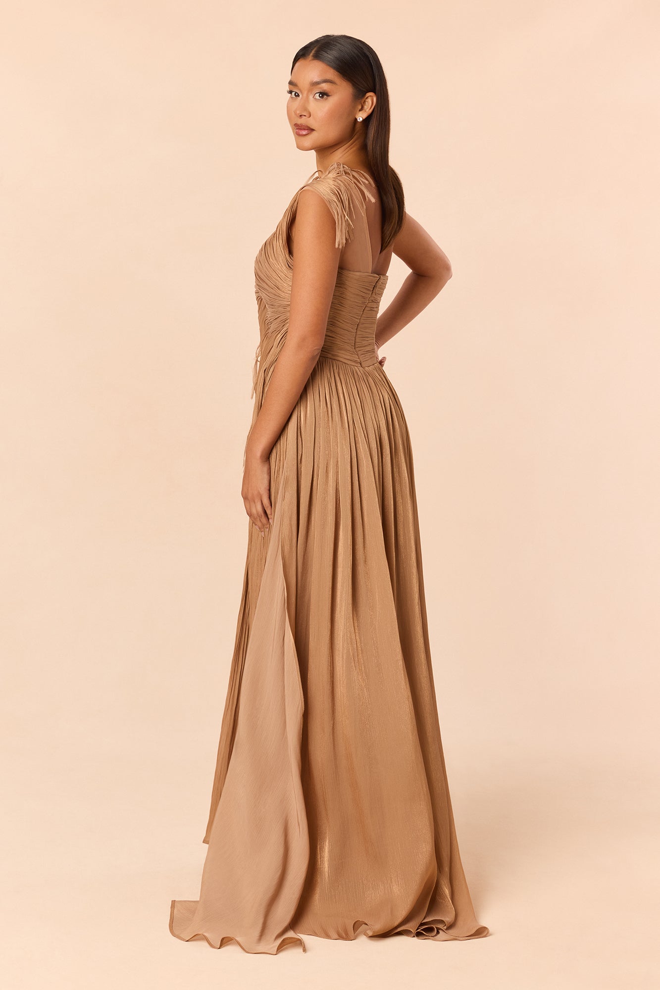 Classy Night Organza Gown - Bronze
