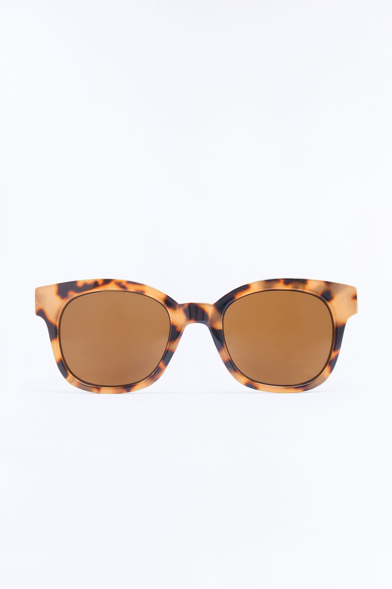 Sunlit Pages Sunglass Readers - Tortoise
