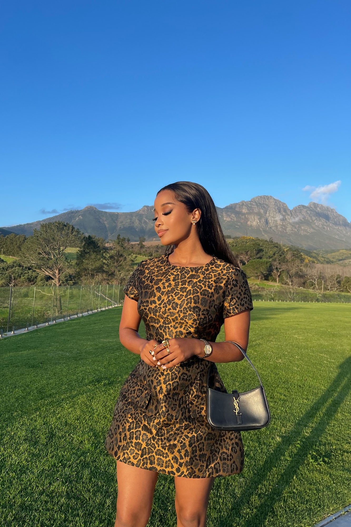 Brielle Leopard Mini Dress - Leopard
