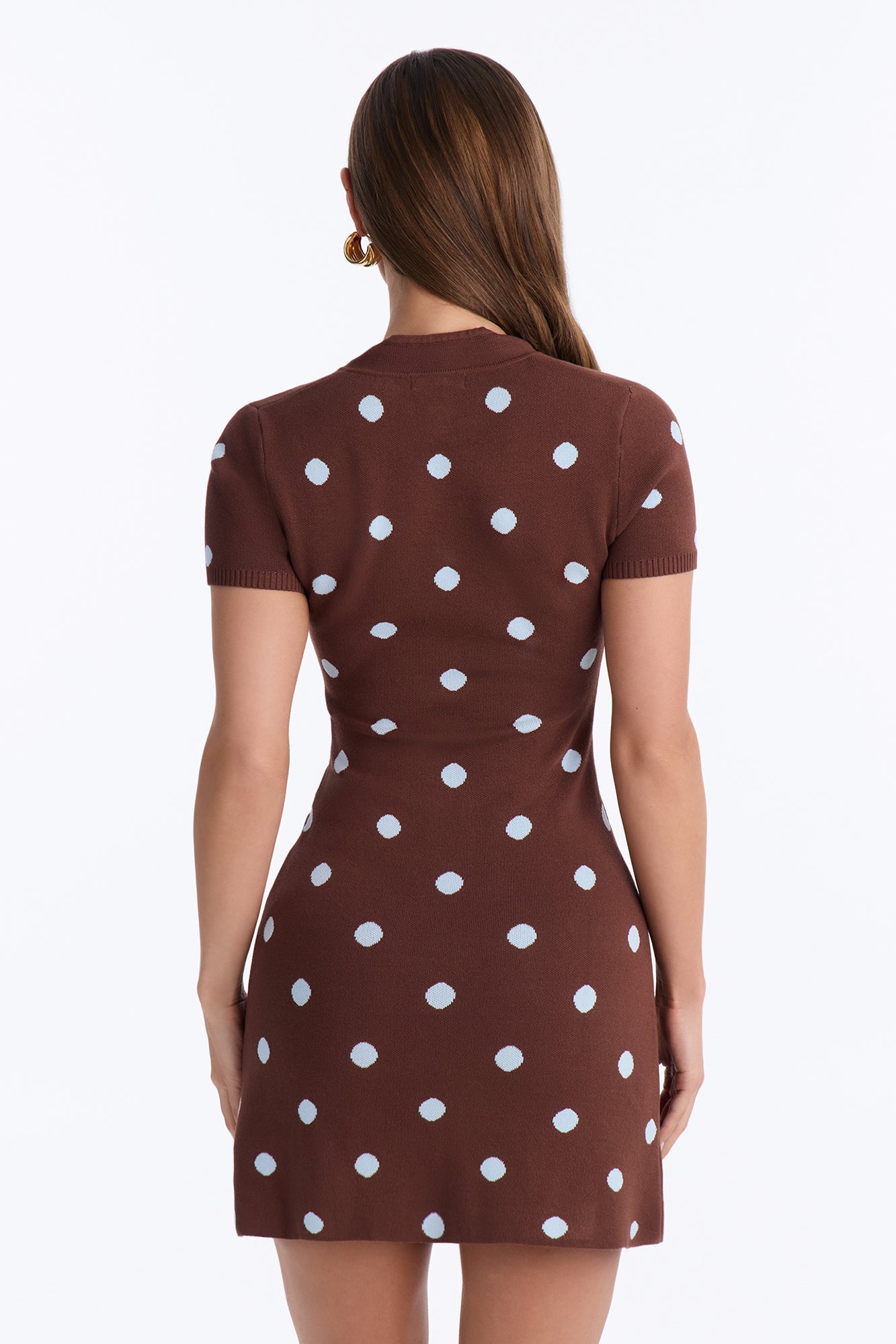 Perfect For Me Short Sleeve Sweater Mini Dress - Brown/combo