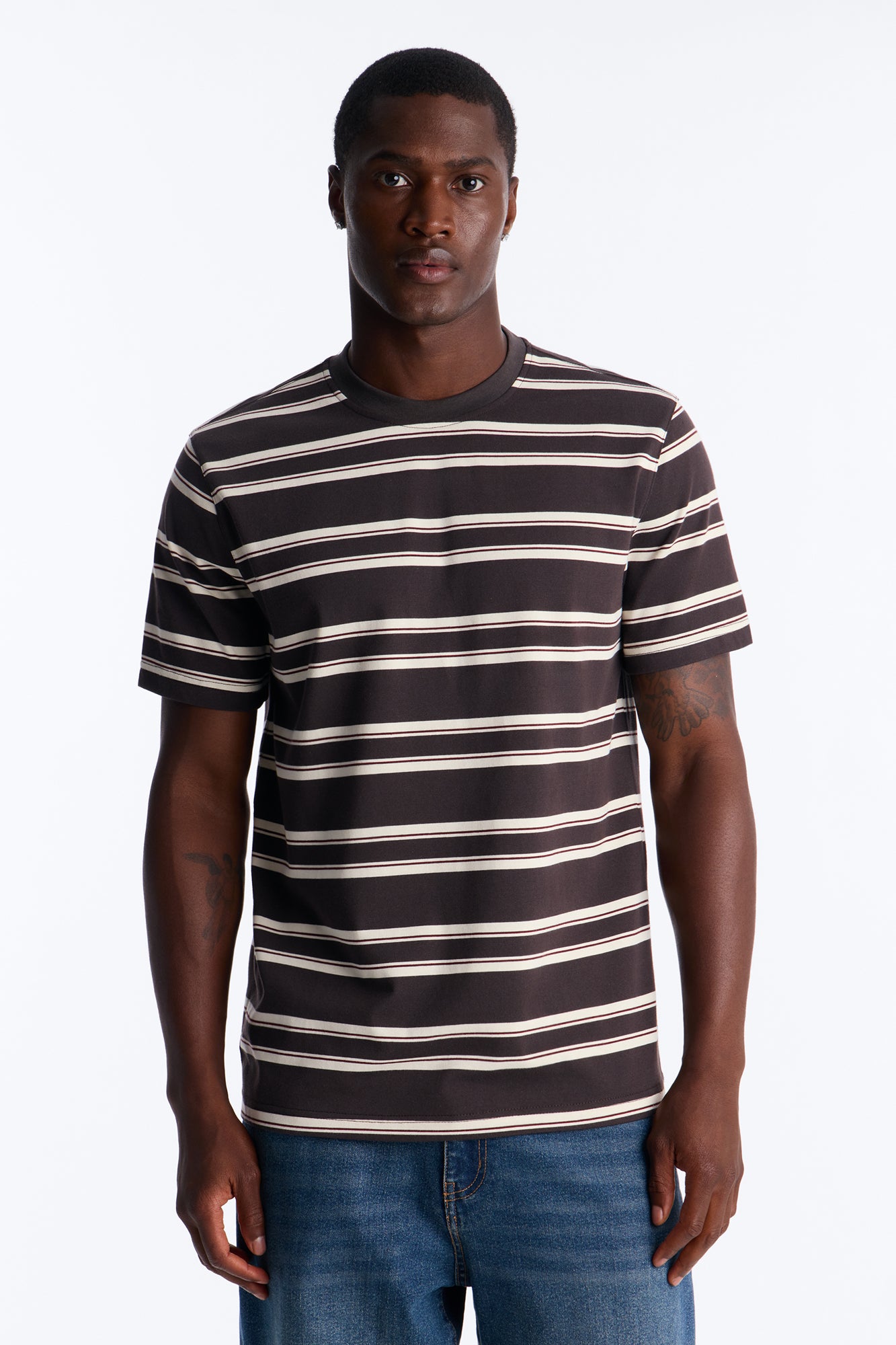Casey Stripe Crewneck Tee - Brown/combo