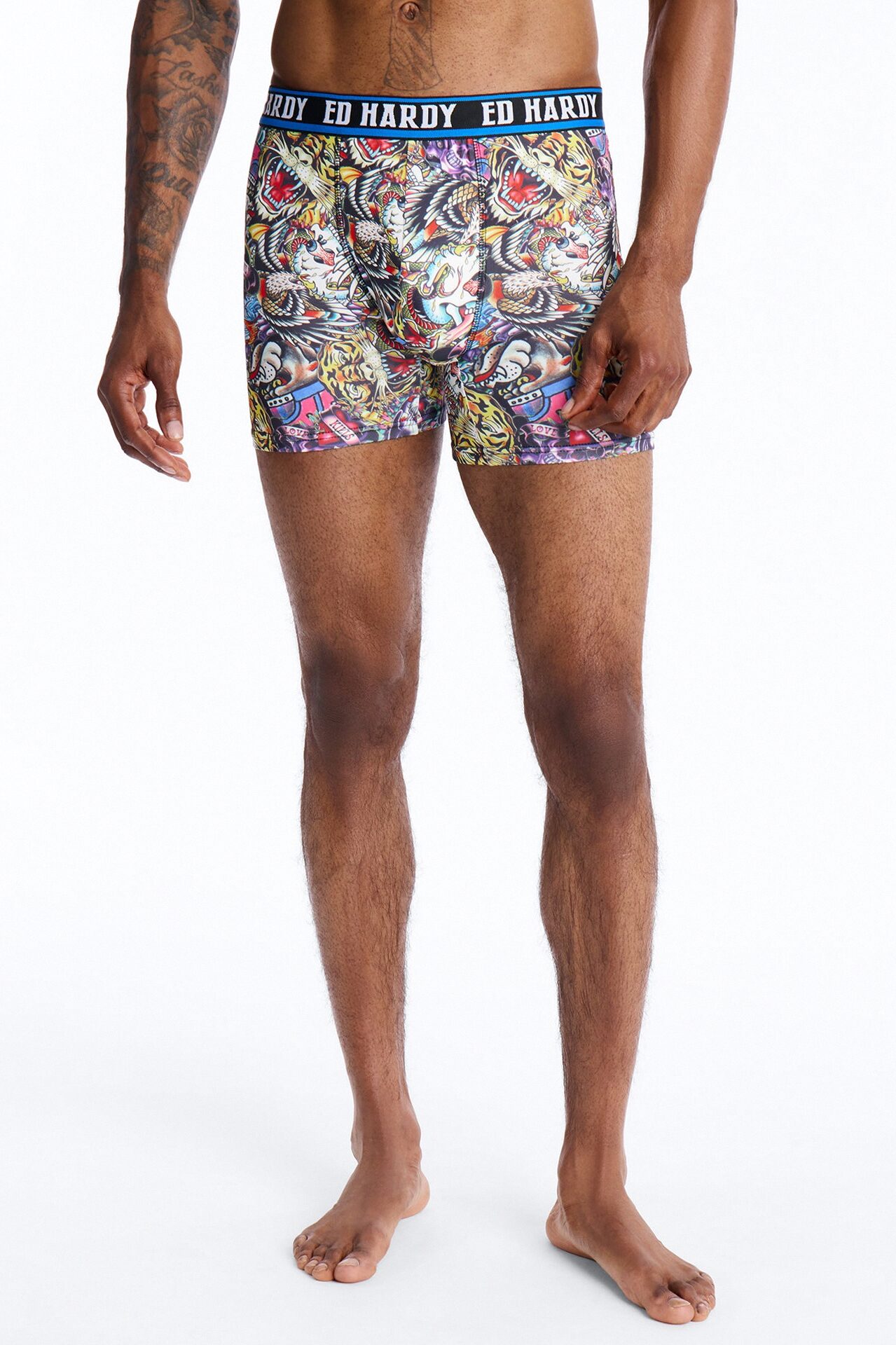 Wild Savage Ed Hardy 3 Pack Cartoon Boxer Briefs - Multi Color