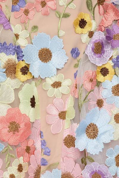 Wildflower Way Embroidered Mesh Mini Dress - Multi Color