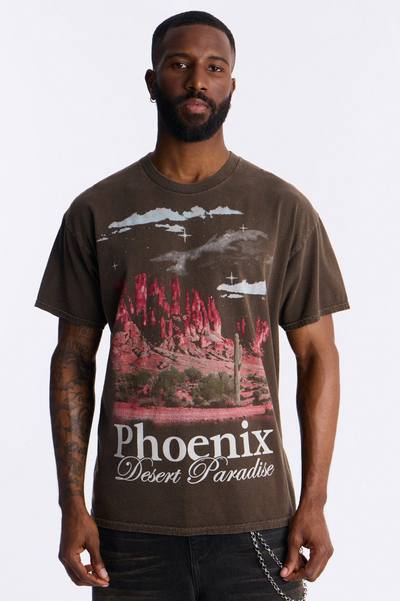 Phoenix Desert Paradise Oversized Short Sleeve Tee - Chocolate