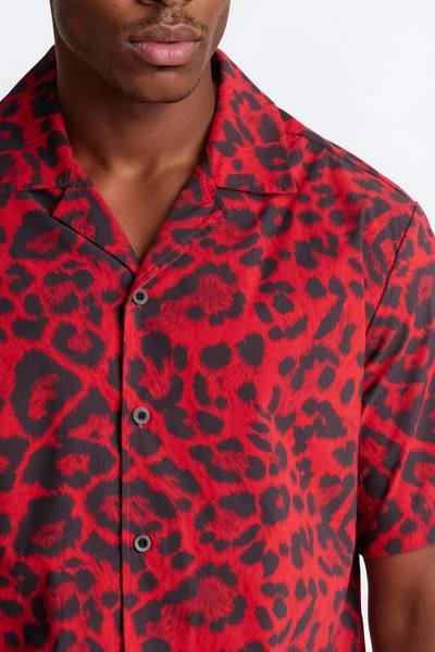 Relaxed Savage Club Leopard Print Cuban Collar Button Up Shirt - Red