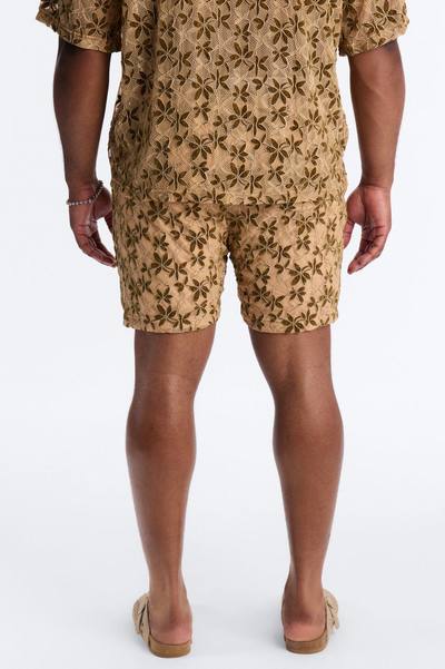 Cabo Canopy Relaxed Short - Tan Multi Color