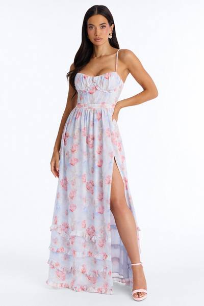 Daisy Chiffon Floral Maxi Dress - Blue/combo