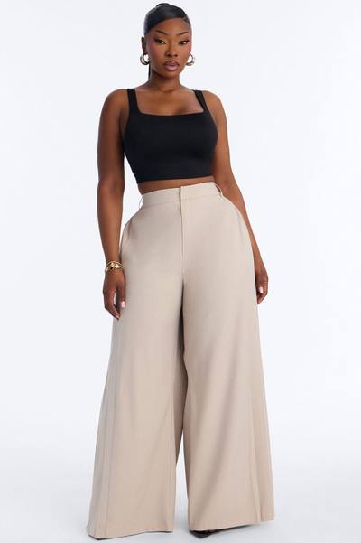 Hailey High Rise Pleated Wide Leg Trouser - Stone