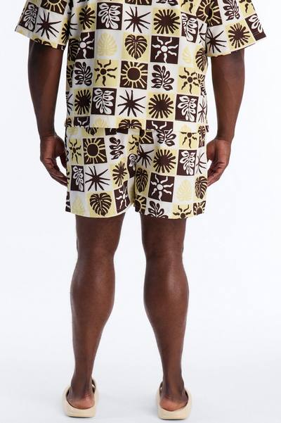 Solar Foliage Checkered Swim Trunk 4″ - Brown