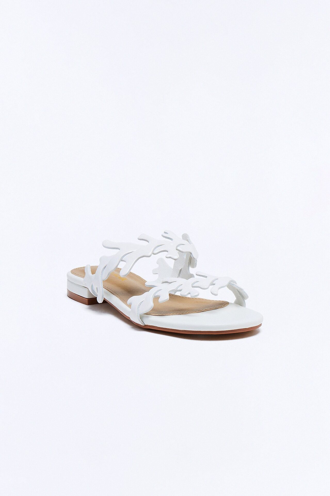 Coral Seas Slides - White
