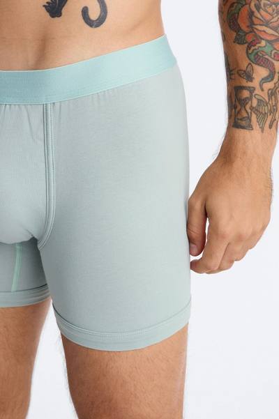 Boxer Slate Brief 3 Pack - Sage/combo