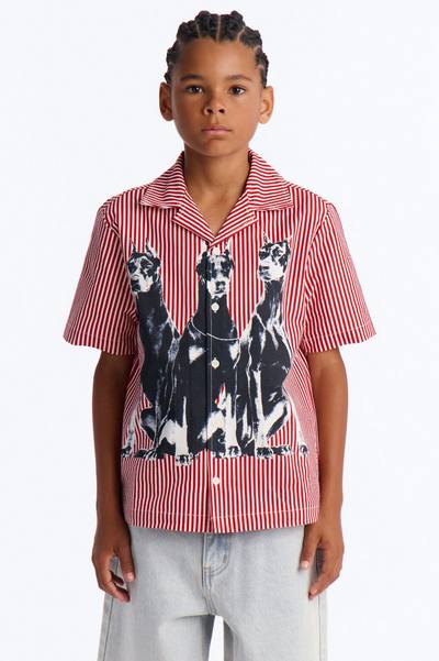 Mini Doberman Seersucker Stripe Cuban Collar Button Up Shirt - Red/combo