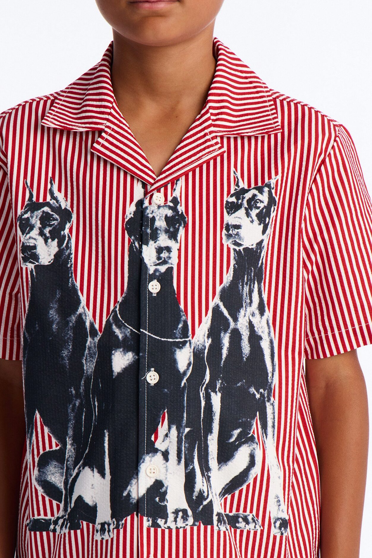 Mini Doberman Seersucker Stripe Cuban Collar Button Up Shirt - Red/combo
