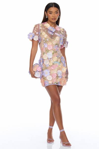 Ivy Lane Floral Embroidered Mini Dress - Multi Color